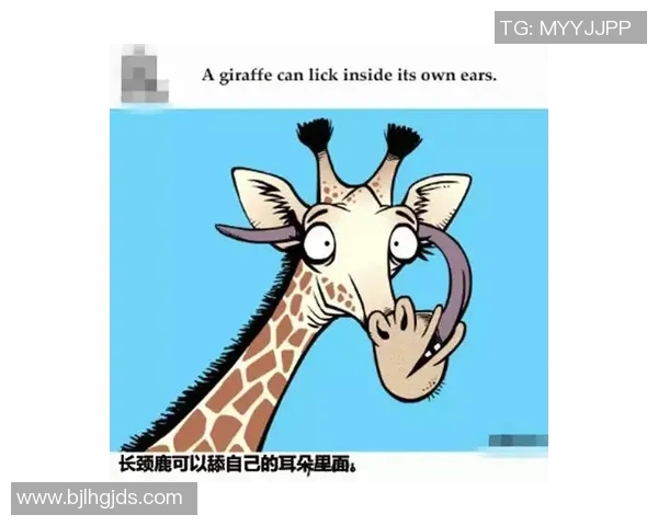 你不知道的VAR：十大冷知识大揭秘