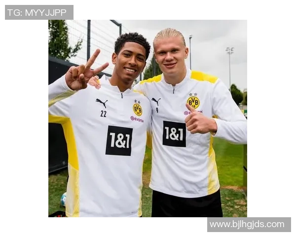 数据模型深度解析哈兰德未来赛场胜率走势预测